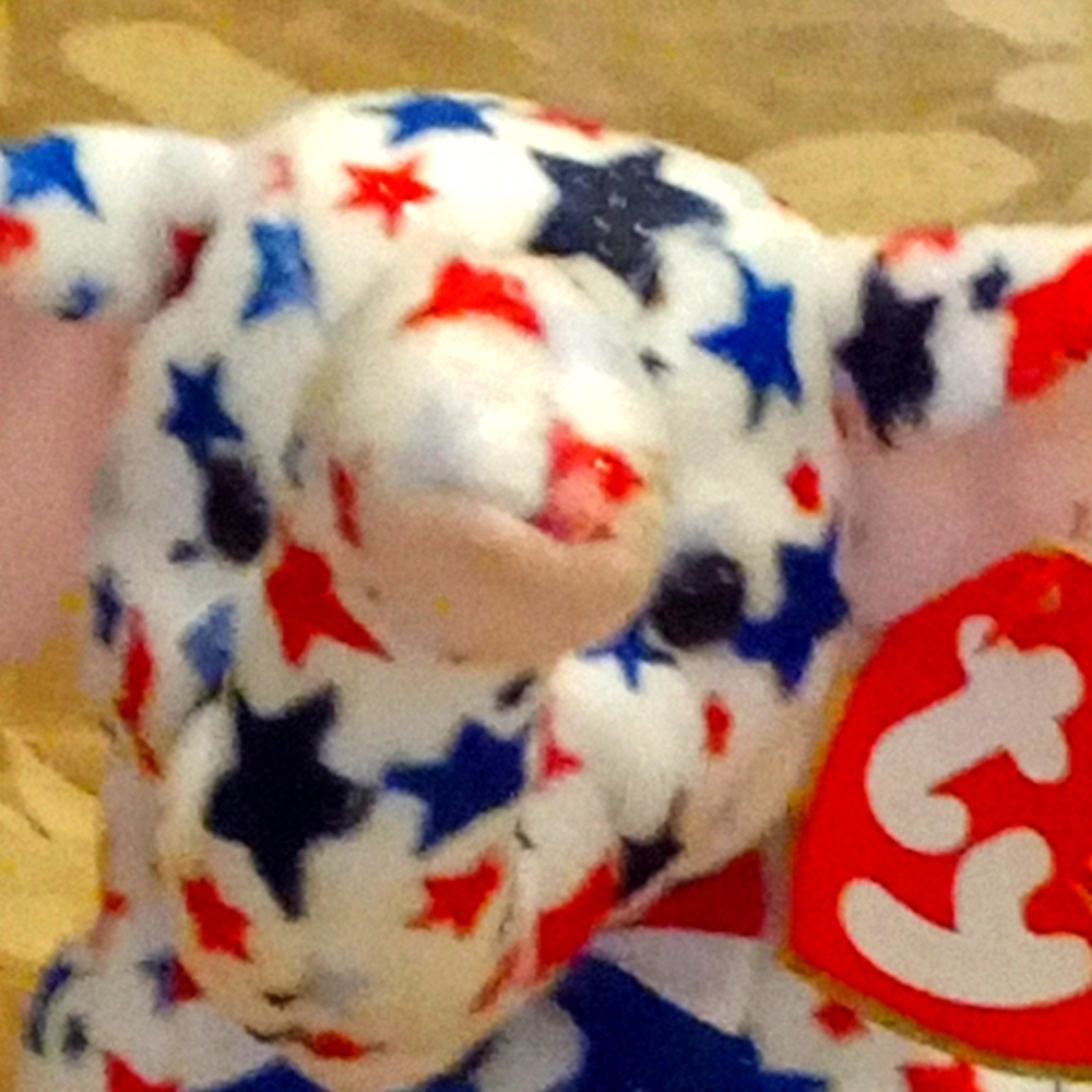 Ty beanie baby his name is Righty born June 25th 2003